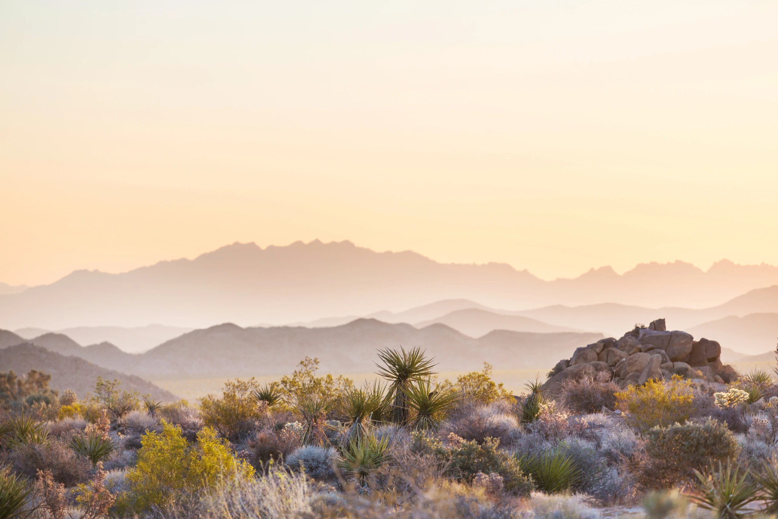 Scottsdale, Arizona - Fitness Retreat Location